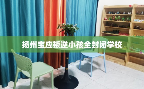 扬州宝应叛逆小孩全封闭学校