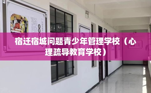 宿迁宿城问题青少年管理学校（心理疏导教育学校）