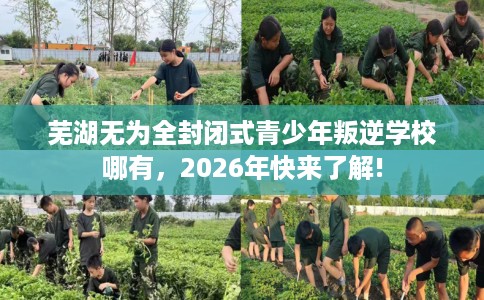 芜湖无为全封闭式青少年叛逆学校哪有，2026年快来了解!