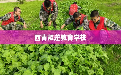 西青叛逆教育学校