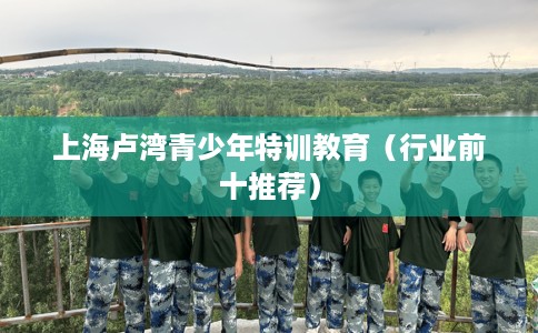 上海卢湾青少年特训教育（行业前十推荐）