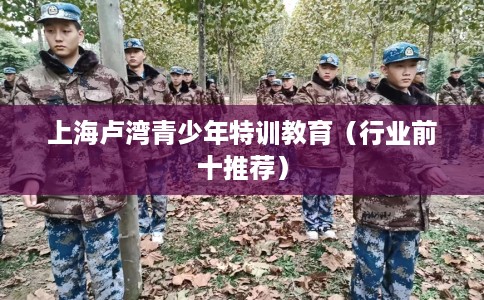 上海卢湾青少年特训教育（行业前十推荐）