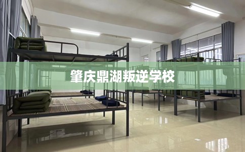 肇庆鼎湖叛逆学校