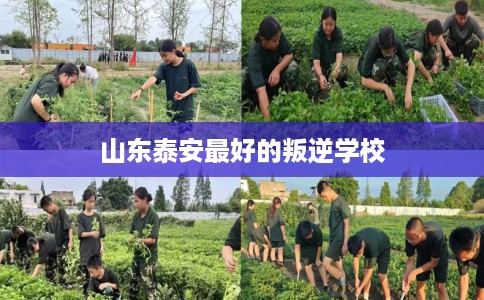 山东泰安最好的叛逆学校