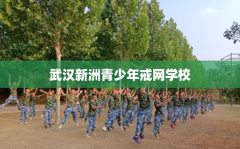 武汉新洲青少年戒网学校
