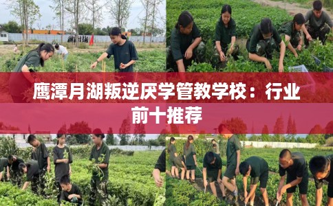 鹰潭月湖叛逆厌学管教学校：行业前十推荐