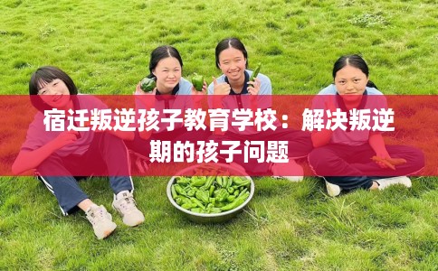 宿迁叛逆孩子教育学校：解决叛逆期的孩子问题
