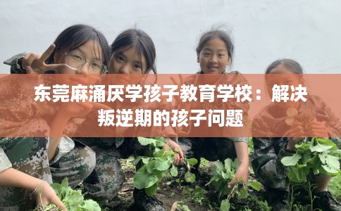 东莞麻涌厌学孩子教育学校：解决叛逆期的孩子问题