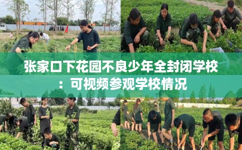 张家口下花园不良少年全封闭学校：可视频参观学校情况