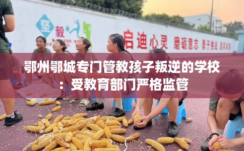 鄂州鄂城专门管教孩子叛逆的学校：受教育部门严格监管