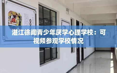 湛江徐闻青少年厌学心理学校：可视频参观学校情况