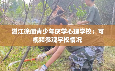 湛江徐闻青少年厌学心理学校：可视频参观学校情况