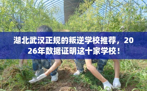 湖北武汉正规的叛逆学校推荐，2026年数据证明这十家学校！
