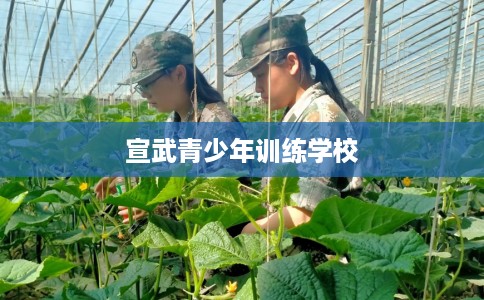 宣武青少年训练学校