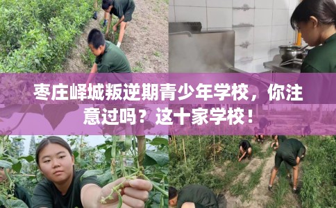 枣庄峄城叛逆期青少年学校，你注意过吗？这十家学校！