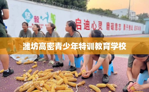 潍坊高密青少年特训教育学校