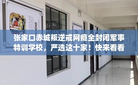 张家口赤城叛逆戒网瘾全封闭军事特训学校，严选这十家！快来看看！