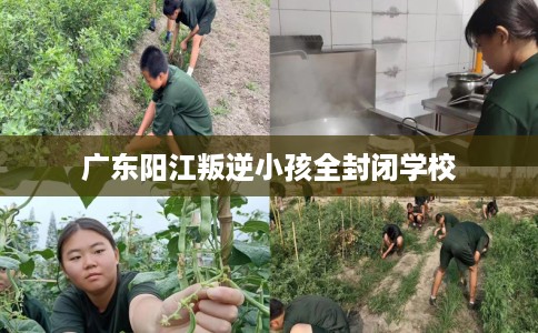 广东阳江叛逆小孩全封闭学校