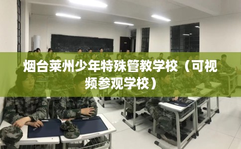 烟台莱州少年特殊管教学校（可视频参观学校）