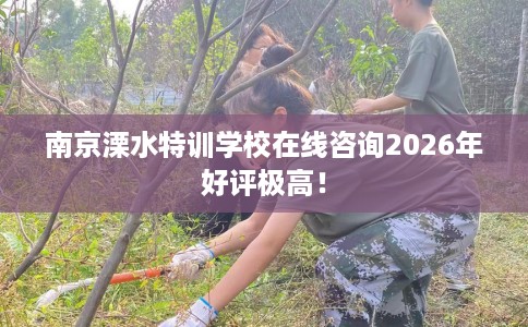 南京溧水特训学校在线咨询2026年好评极高！