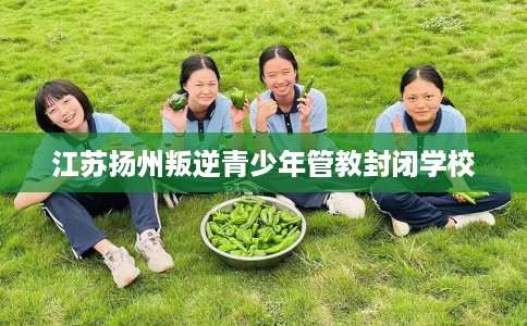 江苏扬州叛逆青少年管教封闭学校