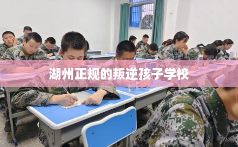 湖州正规的叛逆孩子学校