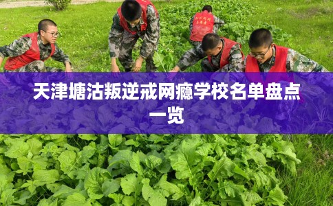 天津塘沽叛逆戒网瘾学校名单盘点一览