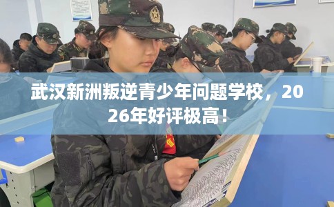 武汉新洲叛逆青少年问题学校，2026年好评极高！