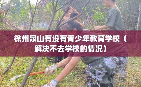 徐州泉山有没有青少年教育学校（解决不去学校的情况）