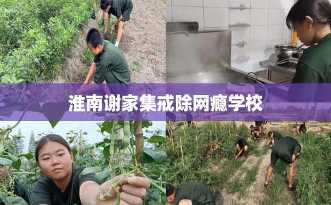 淮南谢家集戒除网瘾学校