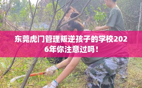 东莞虎门管理叛逆孩子的学校2026年你注意过吗！