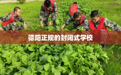 德阳正规的封闭式学校