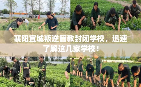 襄阳宜城叛逆管教封闭学校，迅速了解这几家学校！