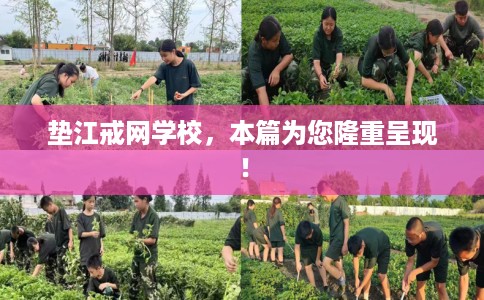 垫江戒网学校，本篇为您隆重呈现！