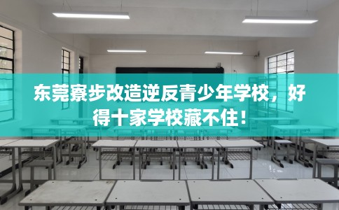 东莞寮步改造逆反青少年学校，好得十家学校藏不住！