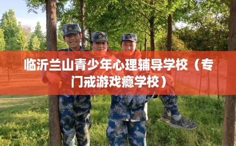 临沂兰山青少年心理辅导学校（专门戒游戏瘾学校）