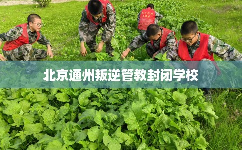 北京通州叛逆管教封闭学校