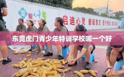东莞虎门青少年特训学校哪一个好