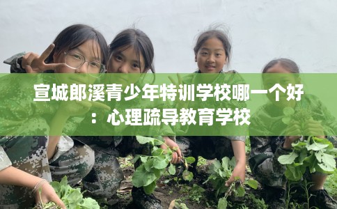 宣城郎溪青少年特训学校哪一个好：心理疏导教育学校