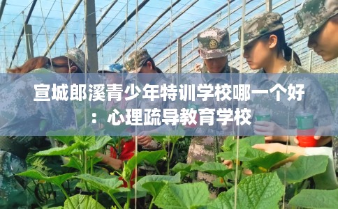 宣城郎溪青少年特训学校哪一个好：心理疏导教育学校