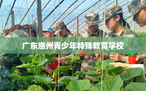 广东惠州青少年特殊教育学校
