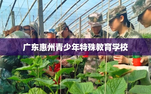 广东惠州青少年特殊教育学校