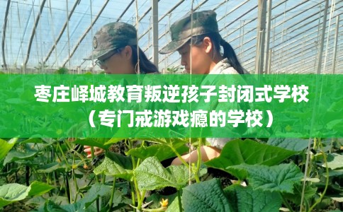 枣庄峄城教育叛逆孩子封闭式学校（专门戒游戏瘾的学校）