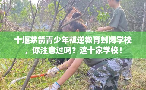 十堰茅箭青少年叛逆教育封闭学校，你注意过吗？这十家学校！