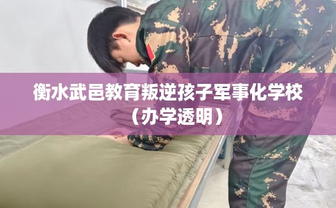 衡水武邑教育叛逆孩子军事化学校（办学透明）