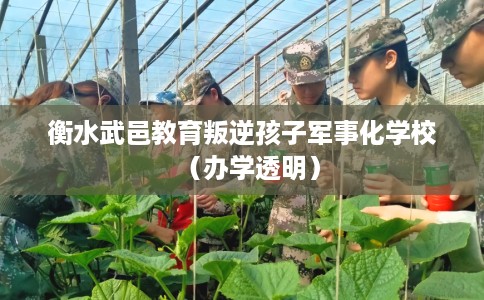 衡水武邑教育叛逆孩子军事化学校（办学透明）