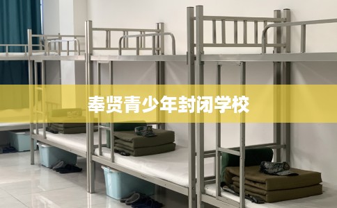 奉贤青少年封闭学校