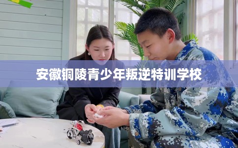 安徽铜陵青少年叛逆特训学校
