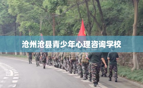 沧州沧县青少年心理咨询学校