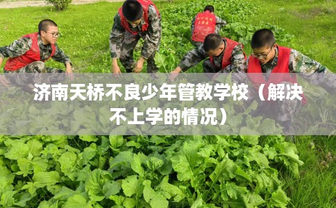 济南天桥不良少年管教学校（解决不上学的情况）